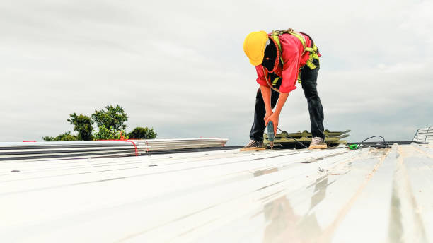 Best Commercial Roofing Services  in Sierra Ridge, CO