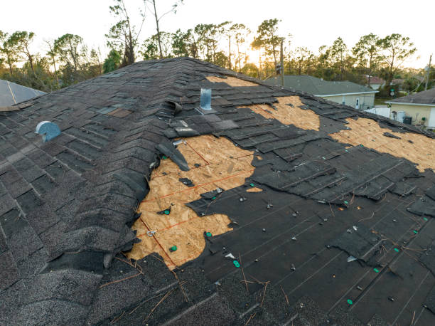 Best Rubber Roofing (EPDM, TPO)  in Sierra Ridge, CO