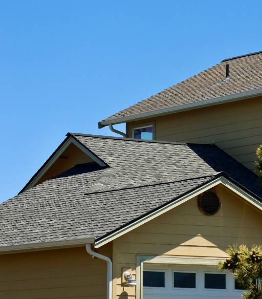 Best Roof Moss and Algae Removal  in Sierra Ridge, CO